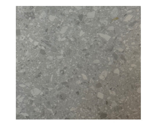 X66J311 Floor & Wall Tile
