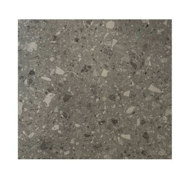 X66J312 Floor & Wall Tile